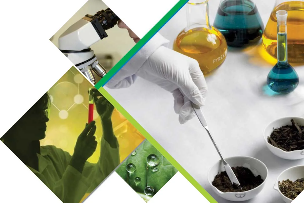 Laboratory scene with flasks, a microscope and herbal samples